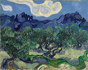 Tree Art Print - The Olive Trees
