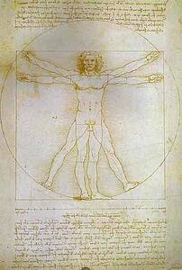 Art Print - The Proportions Of The Human Figure (Vitruvian Man)
