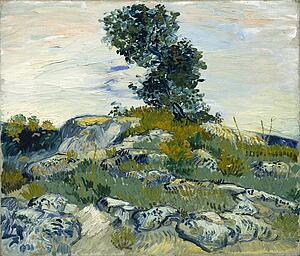 Tree Art Print - The Rocks / Rocks With Oak Tree