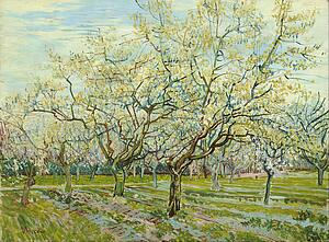Orchard Art Print - The White Orchard