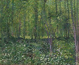 Undergrowth Art Print - Trees And Undergrowth