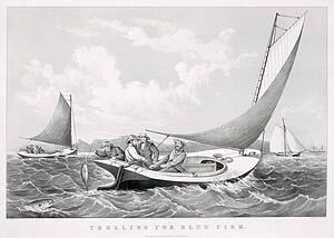 Blue Art Print - Trolling For Blue Fish