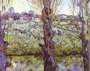 Art Print - View Of Arles. Orchard In Bloom With Poplars In The Forefront