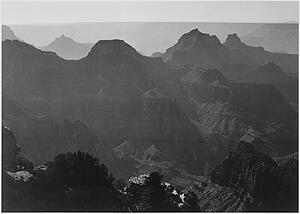 Detail Art Print - View With Shrub Detail In Foreground, "grand Canyon National Park, " Arizona. Photographs Of National Parks And Monuments, Compiled 1941 - 1942, Documenting The Period Ca. 1933 - 1942.