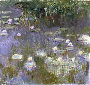 Monet Water Lilies Art Print - Water Lilies