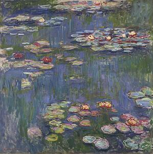 Water Art Print - Water Lilies