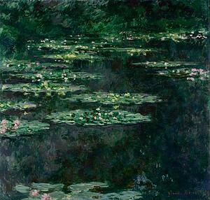Waterlilies Art Print - Waterlilies