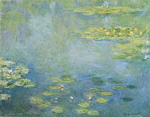 Waterlilies Art Print - Waterlilies