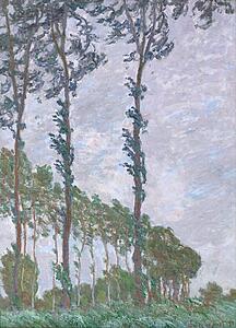 Wind Art Print - Wind Effect, Series Of The Poplars