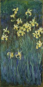 Yellow Art Print - Yellow Irises